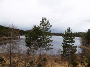 SAMSUNG CAMERA PICTURES