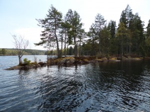 SAMSUNG CAMERA PICTURES